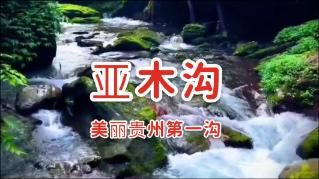 泰拉瑞亚